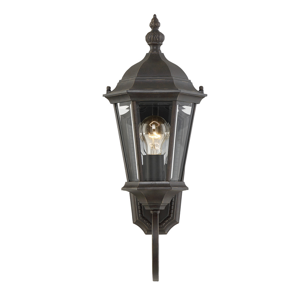 Wakefield 1-Light Outdoor Wall Lantern in Walnut Patina