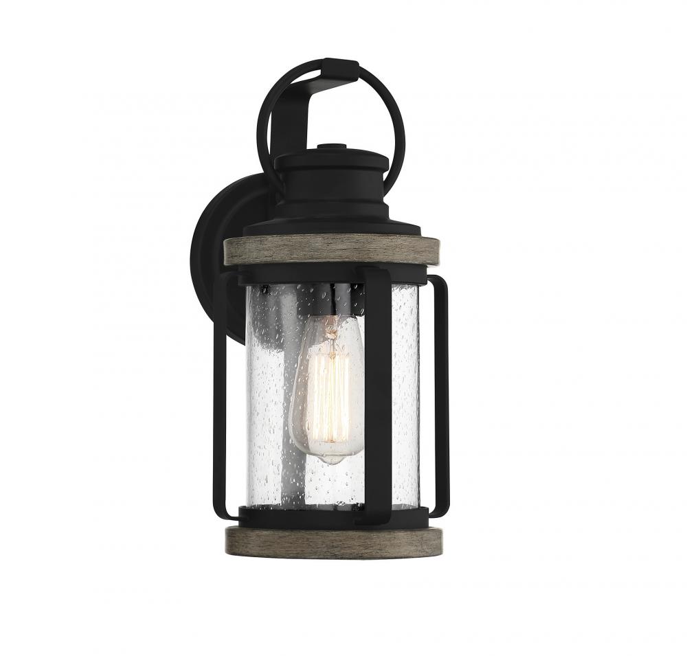 Parker 1-Light Outdoor Wall Lantern in Lodge