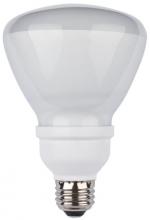 Compact Fluorescent (CFL) Bulbs