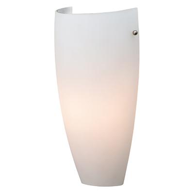 1 Light Wall Sconce